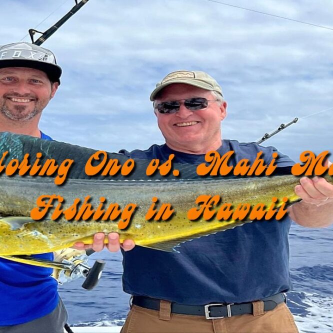 Exploring Ono vs. Mahi Mahi Fishing in Hawaii